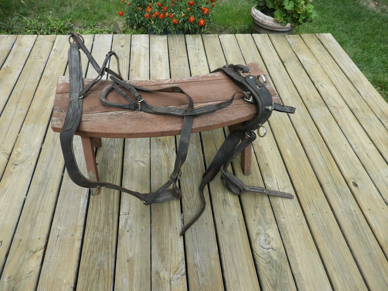 Vintage  Horse Driving Harness - Tack -  Leather  Bridle Bit - Blinders