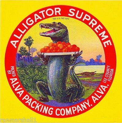 Alva Lee County Florida Alligator Supreme Orange Citrus Fruit Crate Label Print