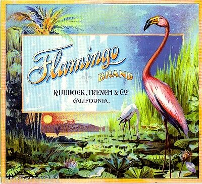 Los Angeles Flamingo Bird Orange Citrus Fruit Crate Label Vintage Art Print
