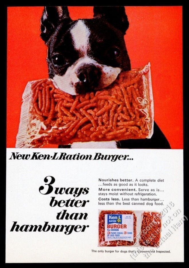 1967 Boston Terrier Photo Ken-l Burger Dog Food Vintage Print Ad