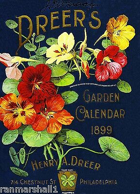 1899 Dreer's Garden Vintage Flowers Seed Packet Catalogue Advertisement Poster